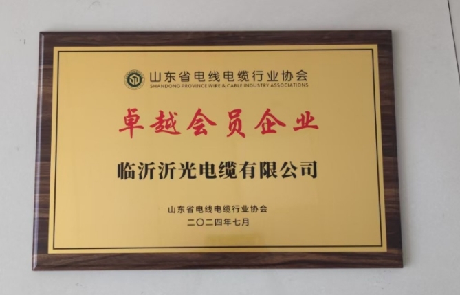 山东省电线电缆行业协会卓越会员企业